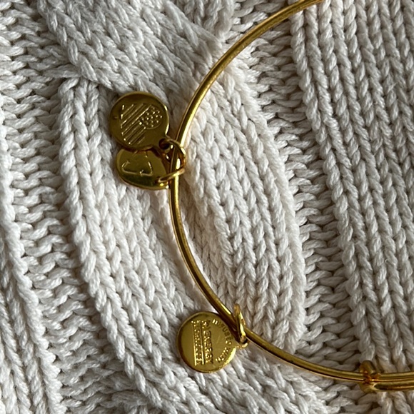 ALEX AND ANI Gold July Birthstone Charm Bangle - Ruby Colour Bracelet - Picture 5 of 8